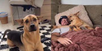 Rescue Dog Won’t Get on the Couch Until Dad Tells Him To, Then They Snuggle Together